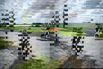 Een oprit tussen weilanden met bloempotten beschilderd met een koeienvlekpatroon.