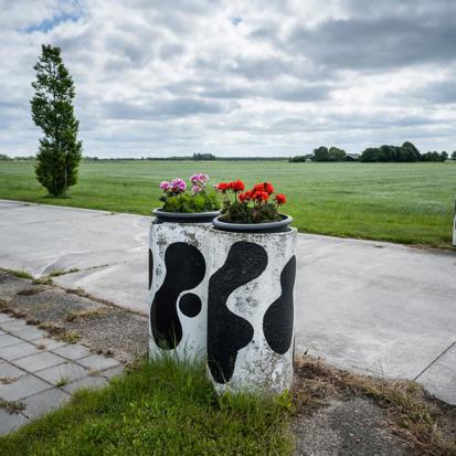 Een oprit tussen weilanden met bloempotten beschilderd met een koeienvlekpatroon.
