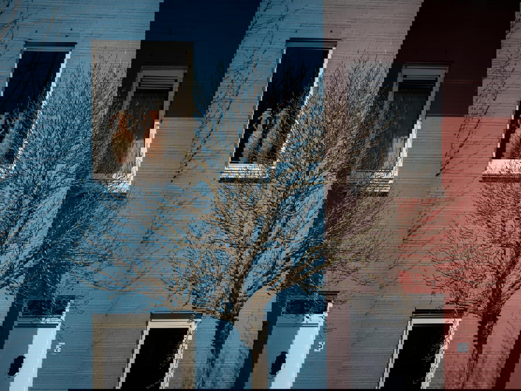 Twee kleurrijke huizen in de Groningse wijk Lewenborg.