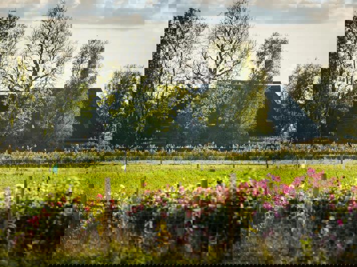Boerderij aan het rand van een weiland met roze bloemen langs het hek.
