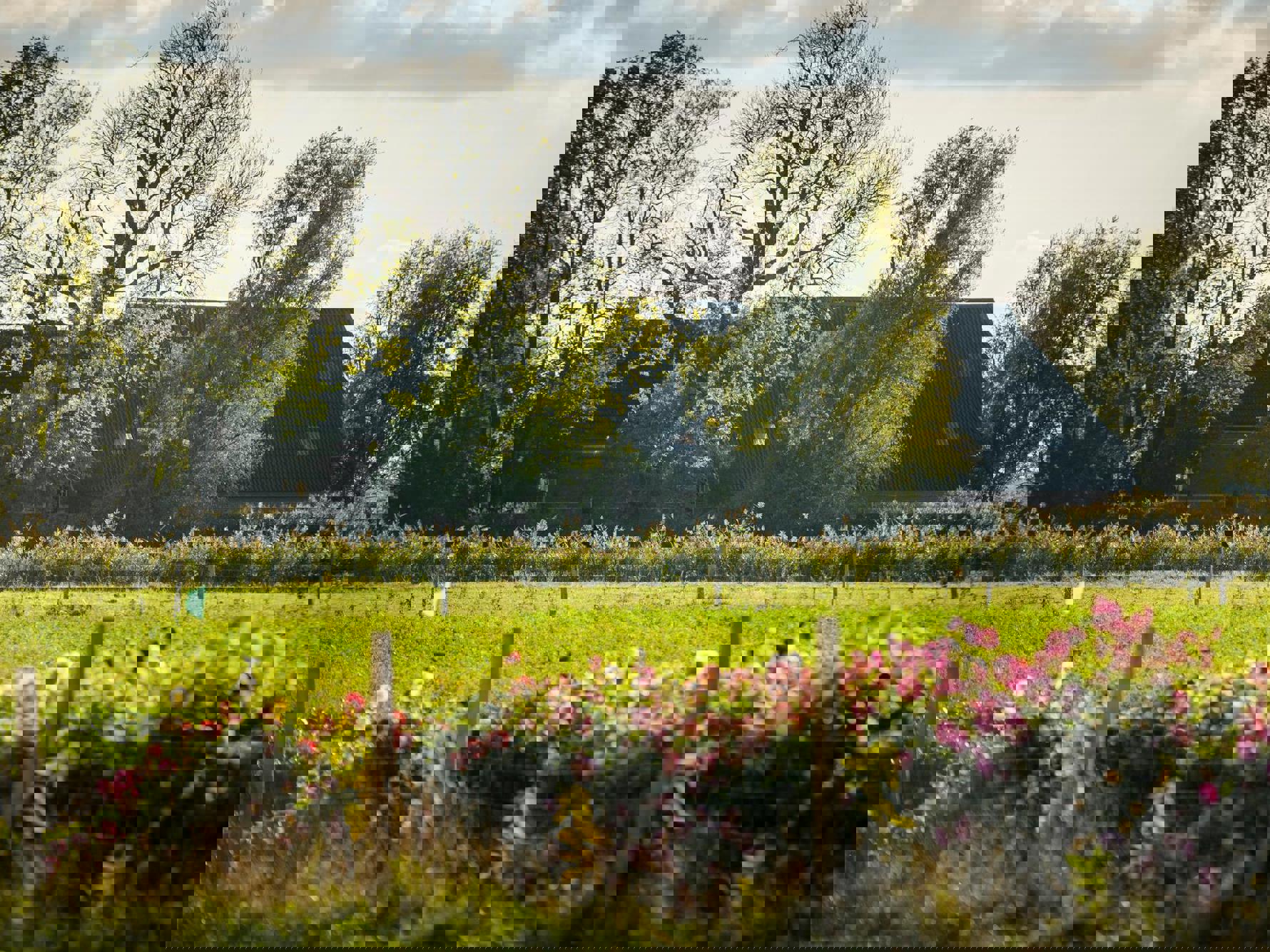 Boerderij aan het rand van een weiland met roze bloemen langs het hek.