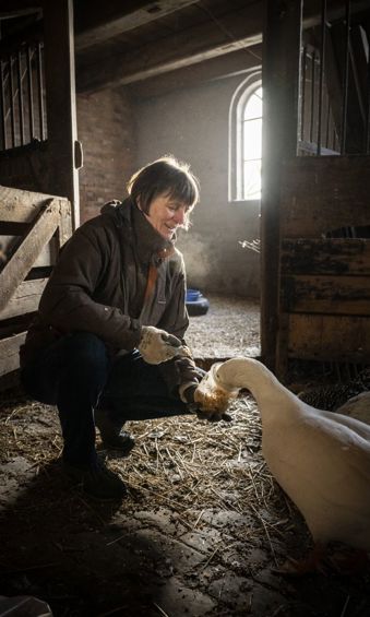 Mevrouw Aué-Hopma Zijlema voert een van de ganzen.