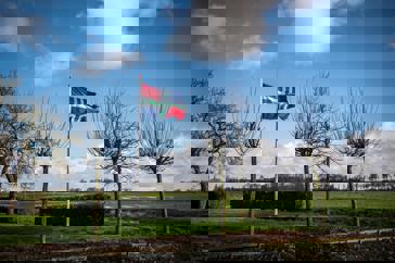 Een wapperende vlag van Groningen naast groene weilanden. 