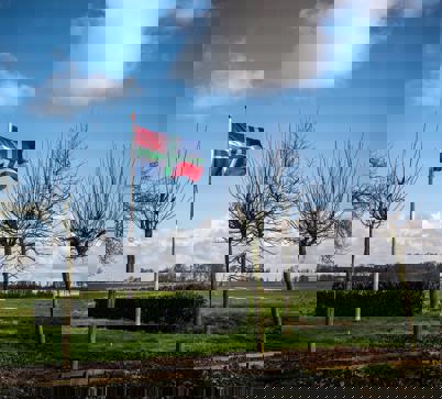 Een wapperende vlag van Groningen naast groene weilanden. 