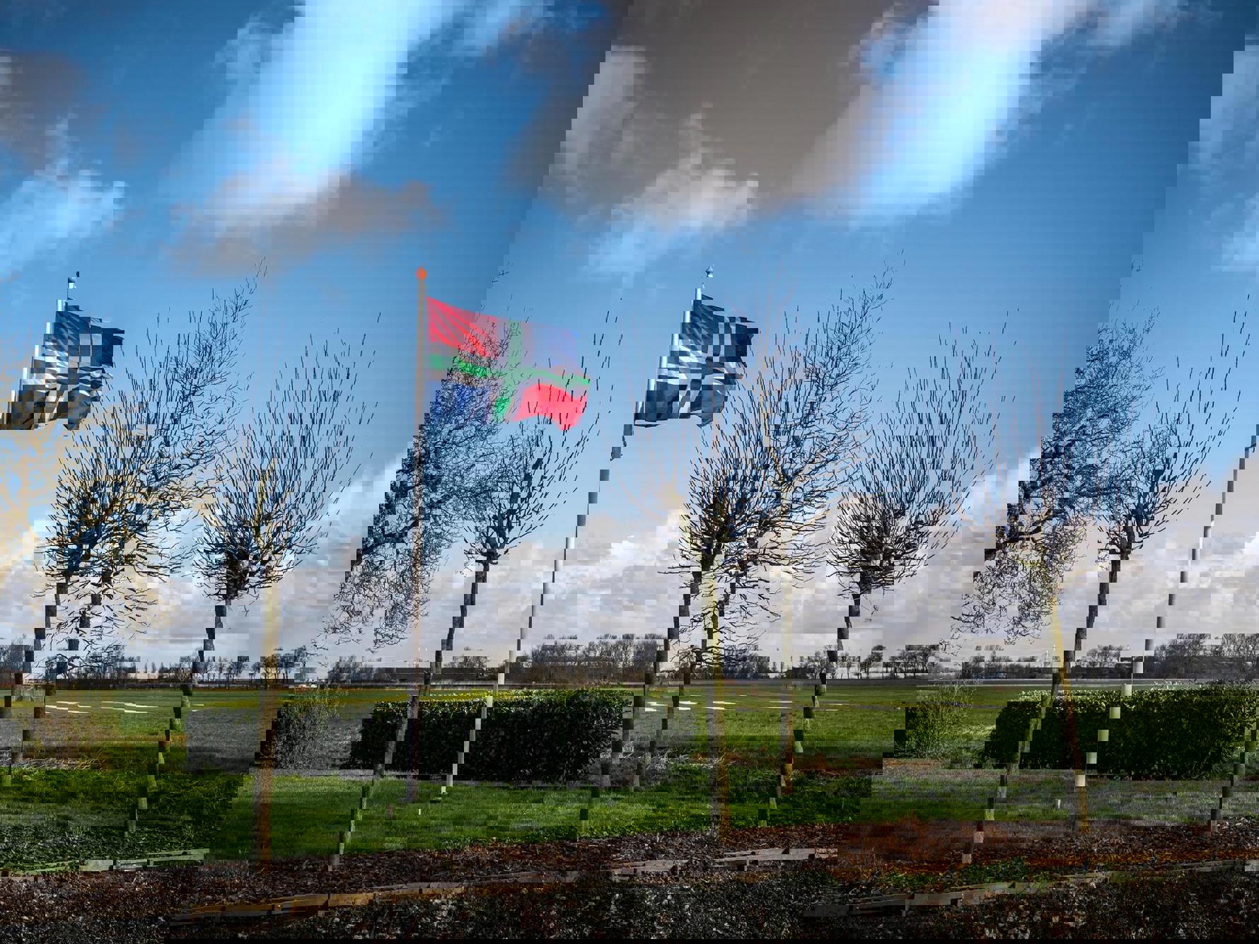 Een wapperende vlag van Groningen naast groene weilanden. 