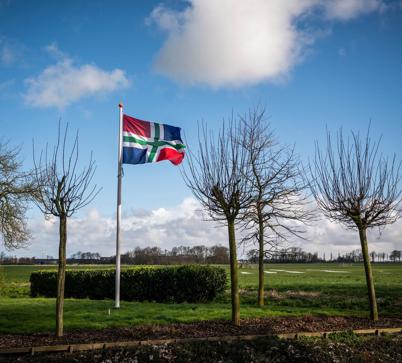 Een wapperende vlag van Groningen naast groene weilanden. 