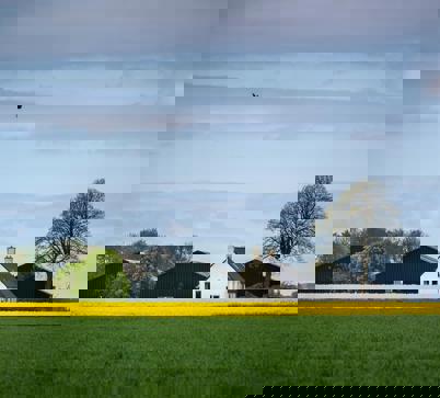 Een bloeiend koolzaadveld met aan de horizon een boerderij.