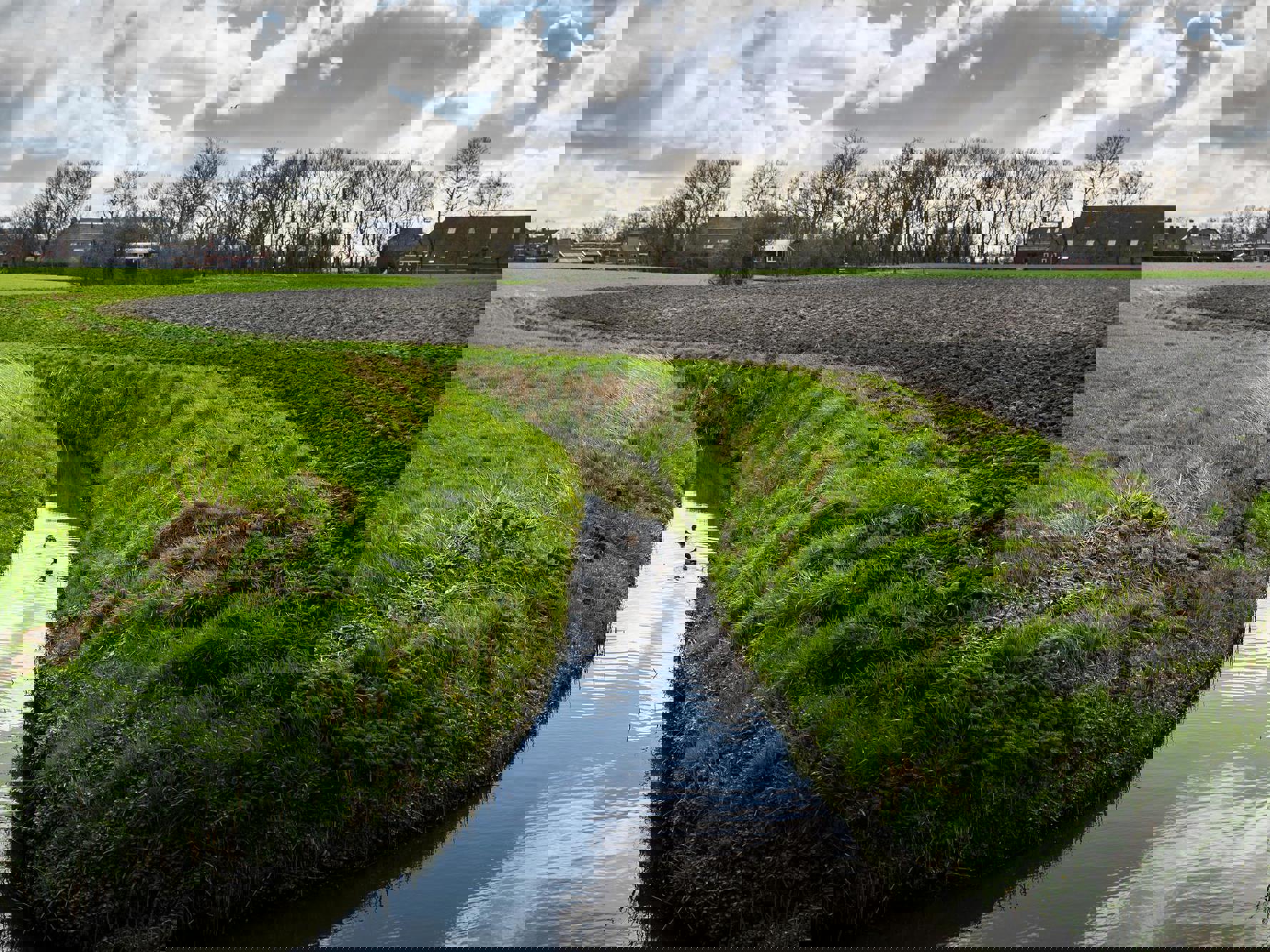 Twee eendjes zwemmen in een slootje tussen een weiland en landbouwgrond met op de achtergrond boerderijen.