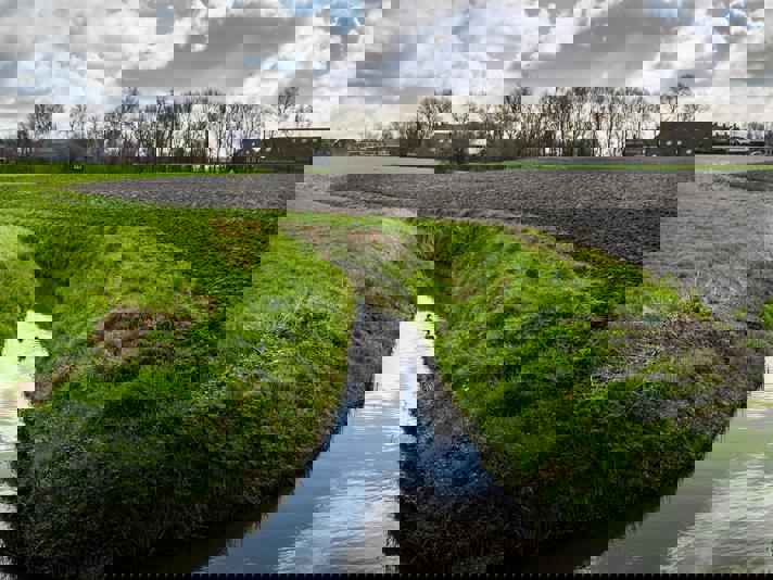 Twee eendjes zwemmen in een slootje tussen een weiland en landbouwgrond met op de achtergrond boerderijen.