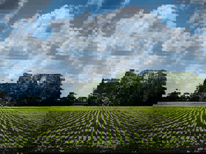 Aan de horizon staat een boerderij aan de rand van een groot, groen akker.