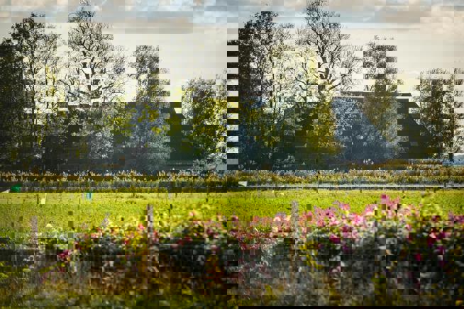 Gemeente Het Hogeland