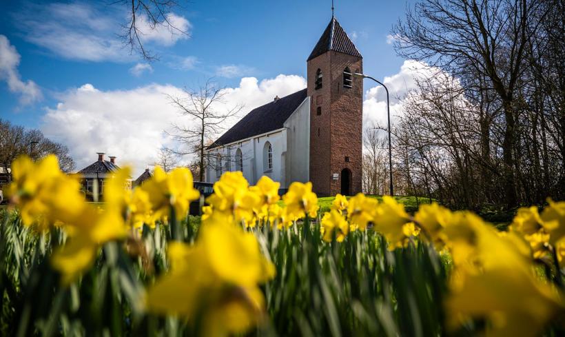 Kerk met op de voorgrond een veldje met bloeiende narcissen.