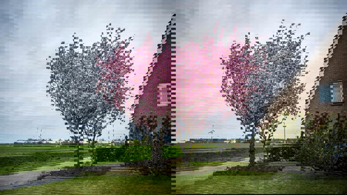 KVDV 20230503 Rondje Groningen Lente 06 1920