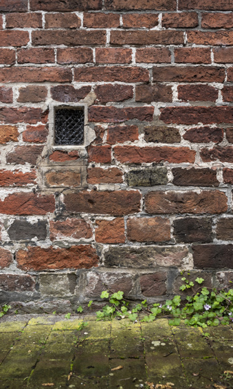 Middeleeuwse kloostermoppen in de muur van het Jacobijnenhuis.