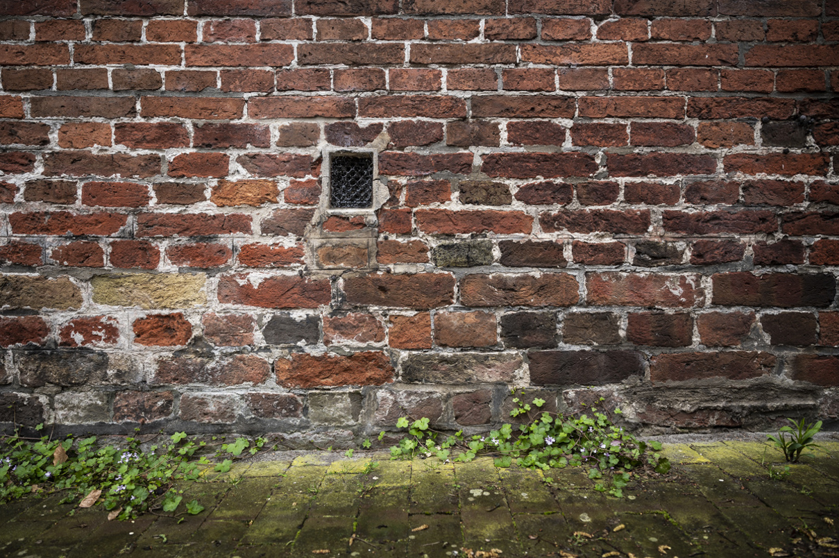 Middeleeuwse kloostermoppen in de muur van het Jacobijnenhuis.